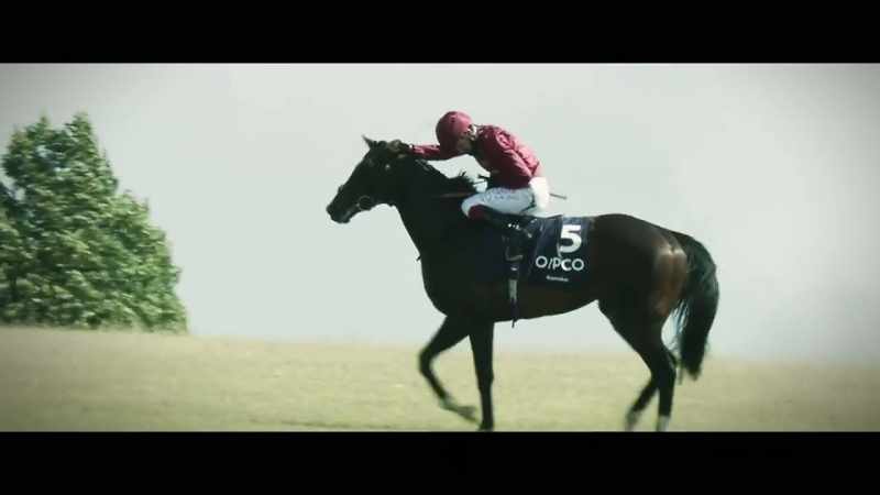 It would be great to get breeders interested in him