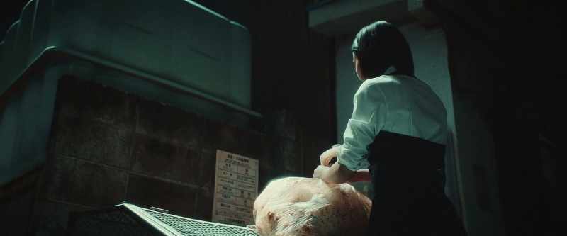 It was you who received Rize's organs