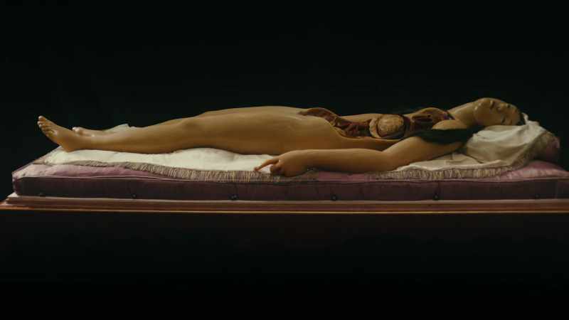 It was your first attempt at mixing anatomic science and art