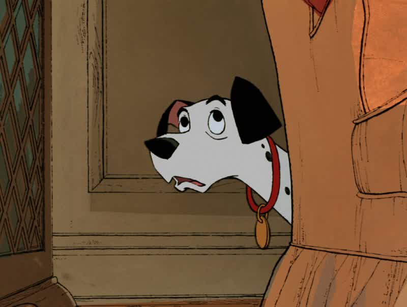 It'll be at least three weeks No rushing these thingsAnita you're such a witHere dog hereHere dog