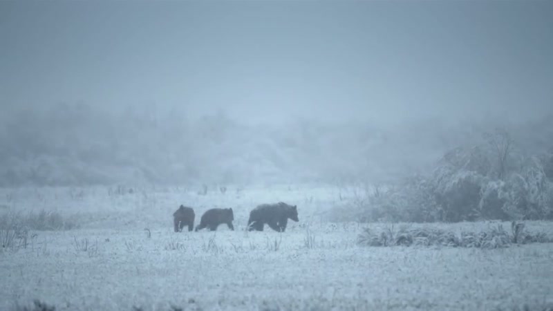 'It's -20 in Northern Canada