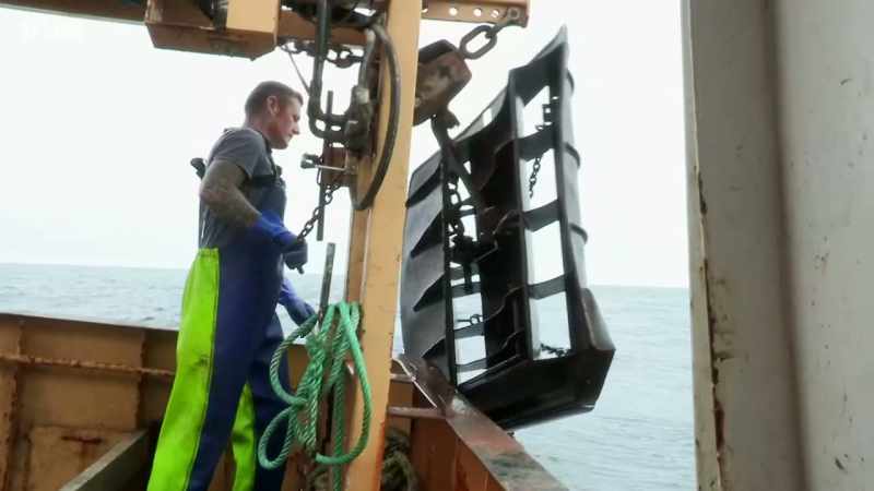 It's 8:00am and time to haul the net