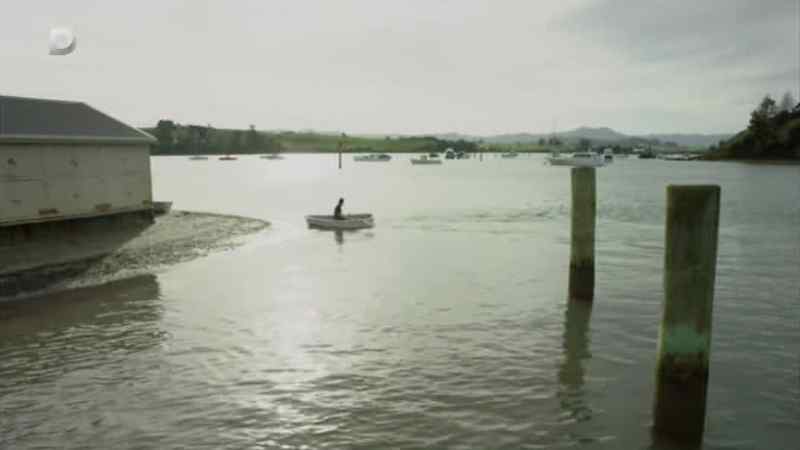 It's a boat. What?