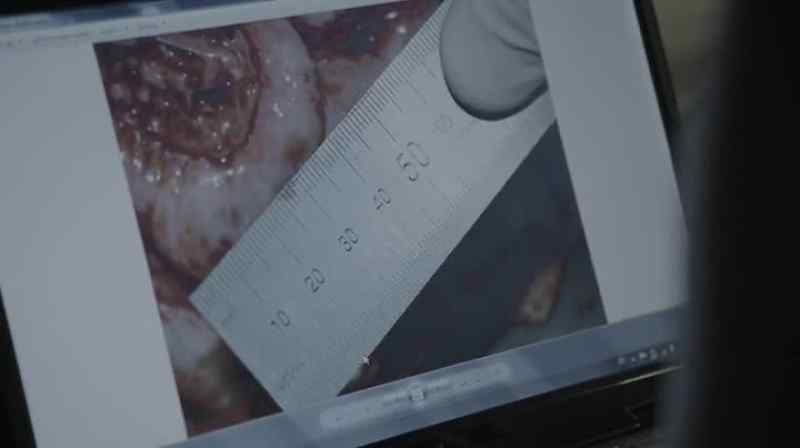 It's a corpse. - Oh, OK. I think I'll