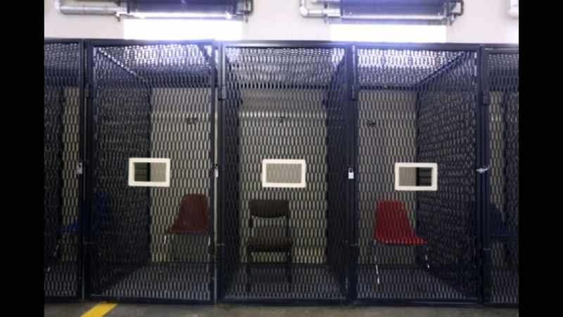 It's a dog kennel-style cage