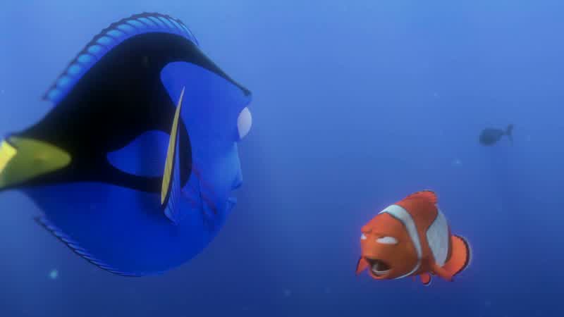 It's a fish we don't know, and if we ask it directions, it could ingest us