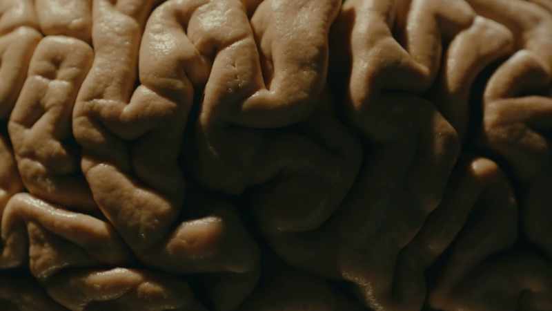 It's a labyrinth and the principle