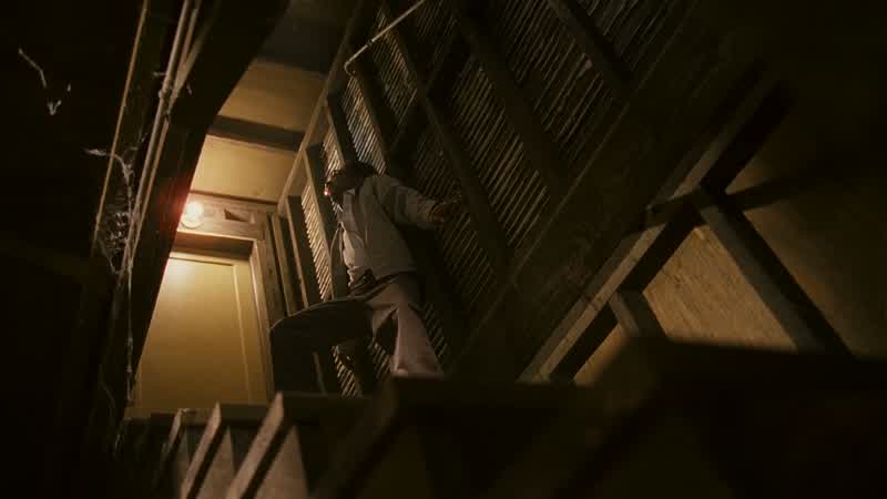 It's a madhouse!
