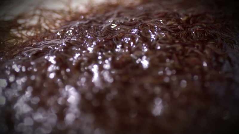 IT'S A MASS OF WORMS