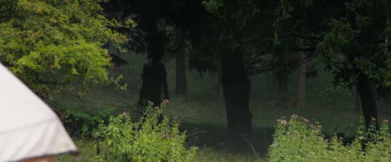 It's a person stood there. See the three trees? The middle tree, look