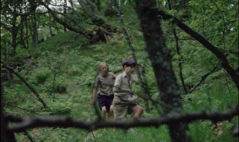It's a real forest. - A jungle, almost