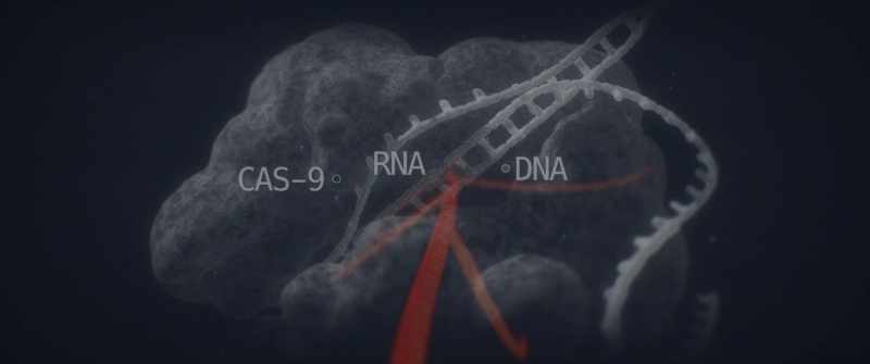 It's a revolutionary gene-editing tool