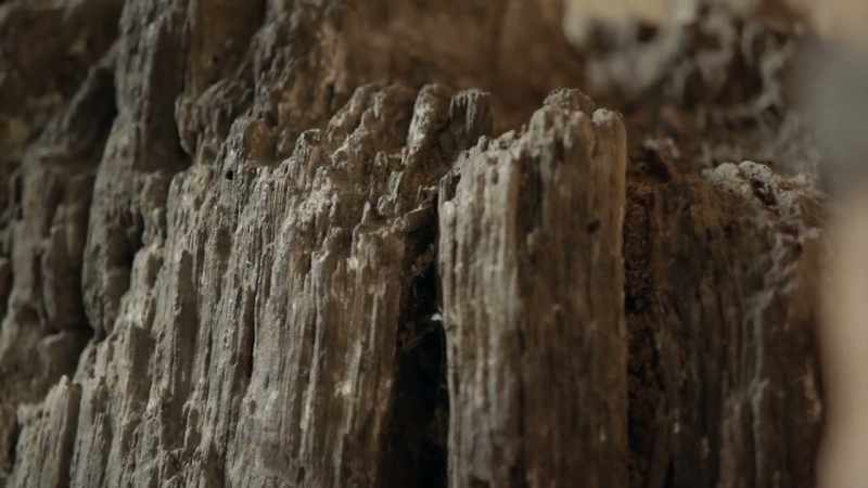 It's a roman wharf post that's been dated to a.D. 75