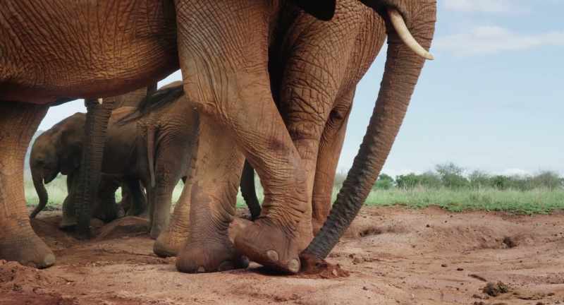 It's about foot-and-trunk coordination and then breath control