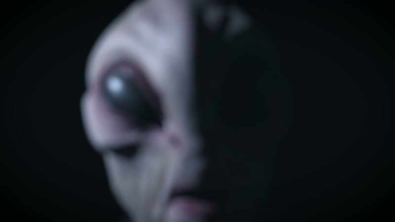 It's about my size, gray, large almond shaped eyes