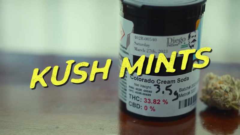 It's across between Kush Mints and Gelato