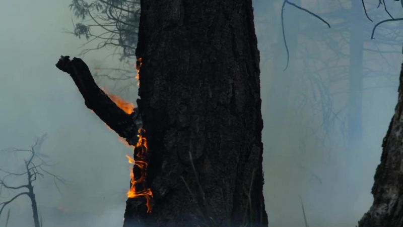 Its aftermath is seemingly total destruction