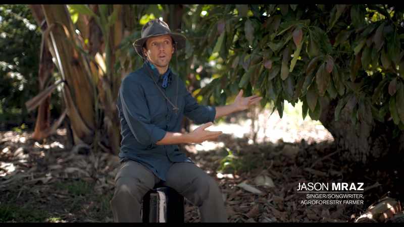 It's agriculture through trees, tree diversification