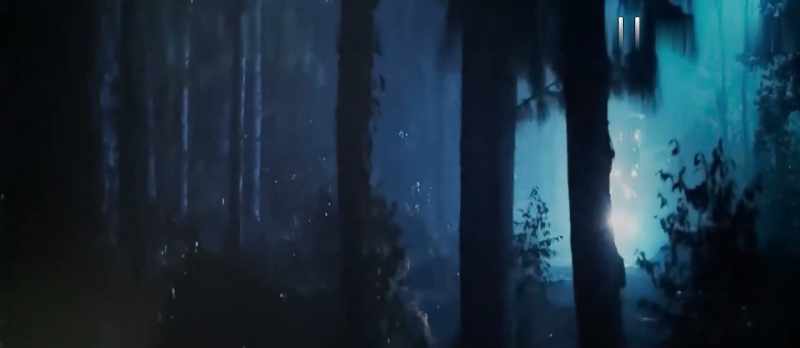 It's all inside you. This entire forest is yours