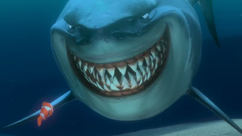 Hello Well hi Name's Bruce It's all right I understand Why trust a shark right