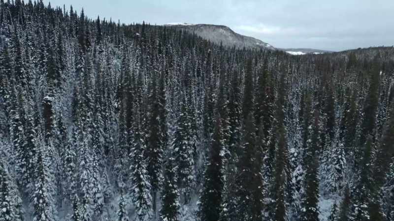 It's already cold, and it's gonna get colder