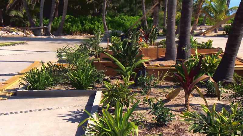 It's amazing how a bit of planting