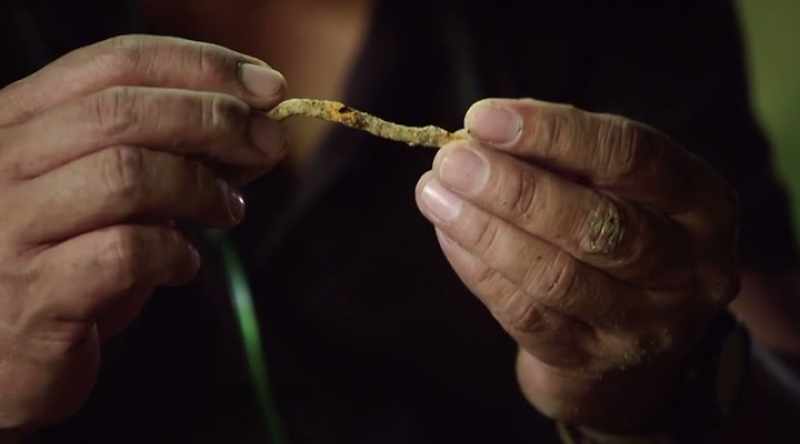 It's an old rusty nail