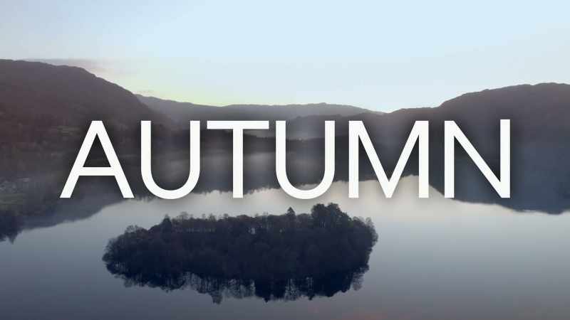 It's autumn