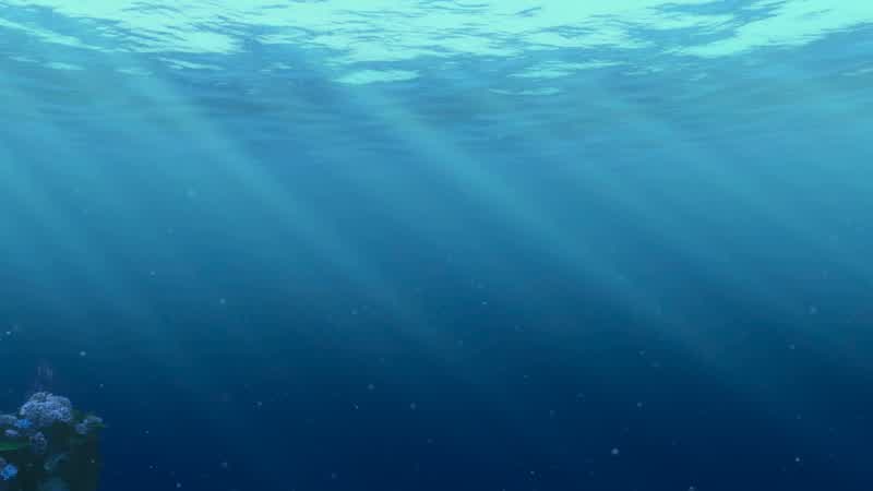Wow Mm hmmWow Yes MarlinNo I see it It's beautifulSo Coral when you said you wanted an ocean viewyou didn't think you'd get the whole ocean did youOh yeah A fish can breathe out hereDid your man