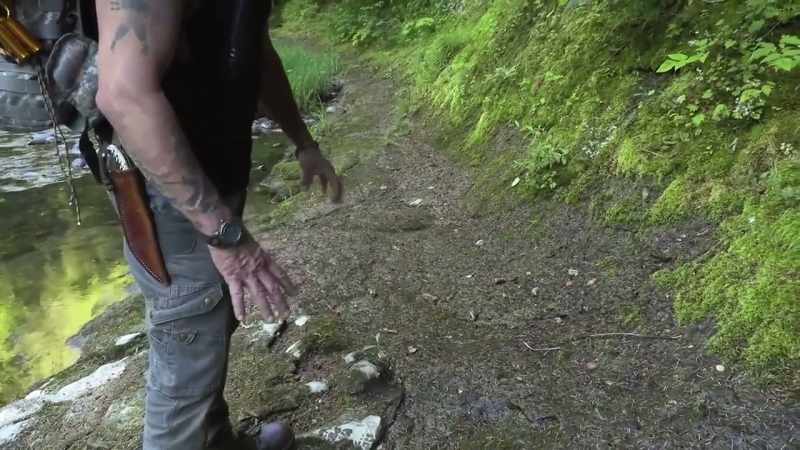 It's been beaten down and all that moss has been stripped away