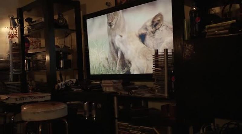 It's been crazy exciting to see these cubs