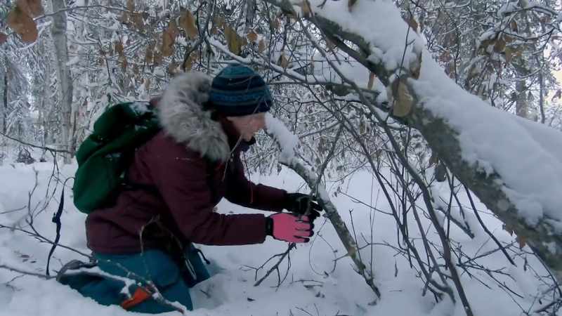 It's been snowing and there's no new tracks