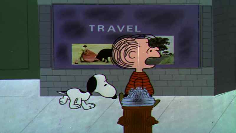 It's that blockhead Charlie Brown's fault