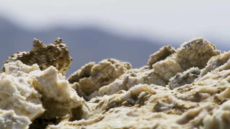 Its camouflage is so effective that it's almost impossible to see it on these rocks