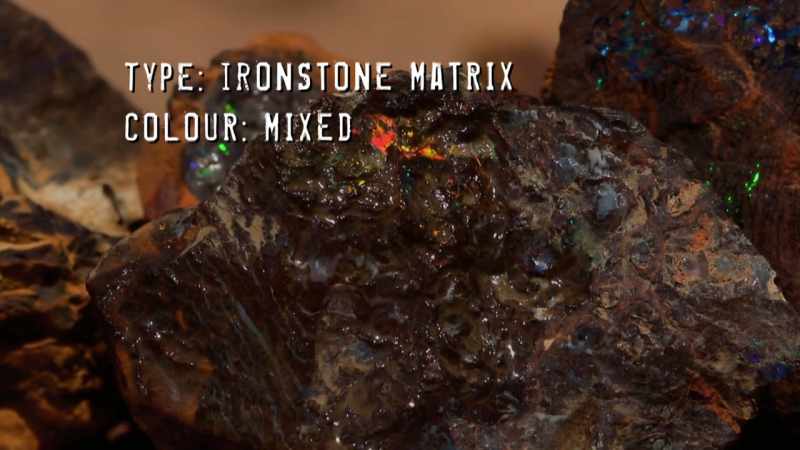 Its colour is varied, with some sought-after reds