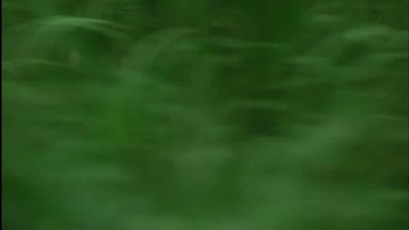 It's coming towards us, I think