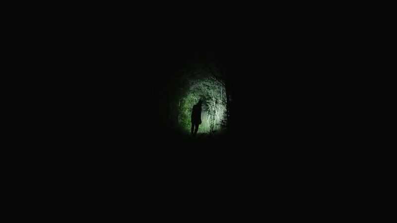 It's so creepy when you know these woods