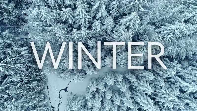 It's December and winter has arrived in the British Isles