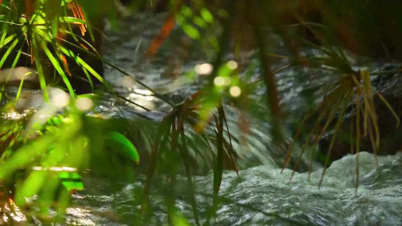 It's estimated that over 50 million gallons