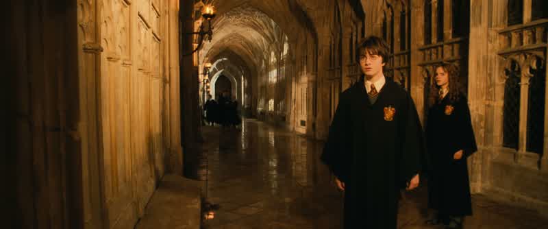 It's Filch's cat
