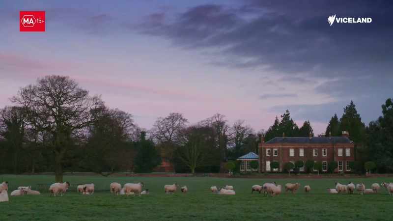 It's my first morning with the Arkwright family