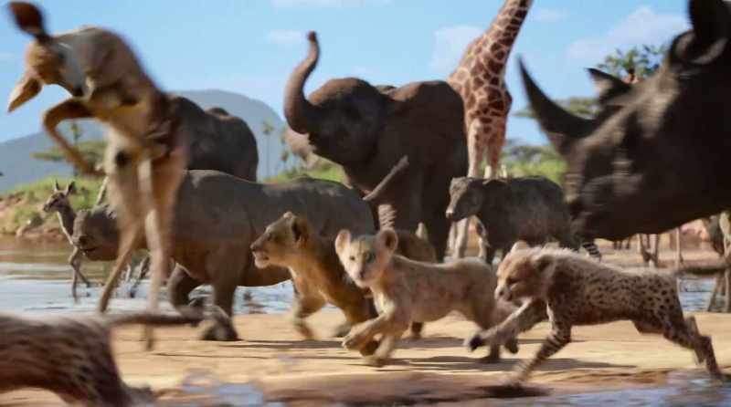 �� It's gonna be King Simba's finest fling ♪