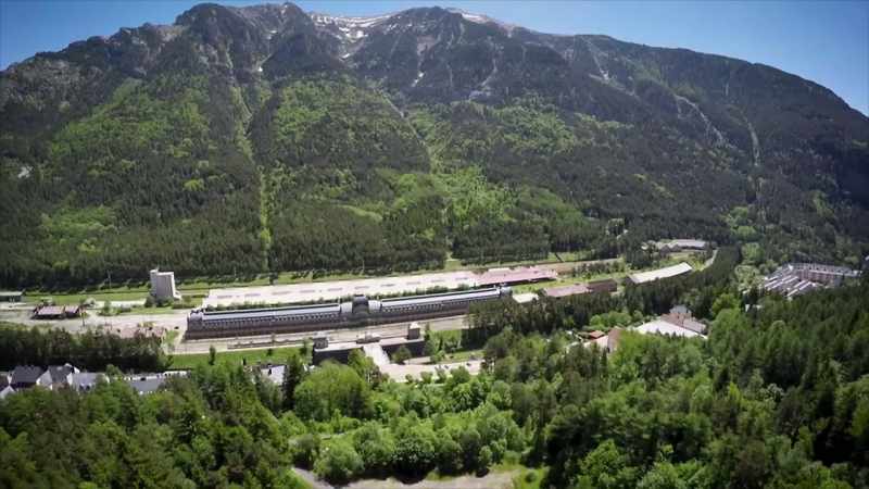 It's hard to believe, but every single tree in the mountains