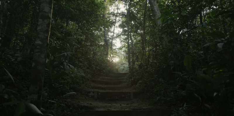 It's helpful to understand that this is a pathway