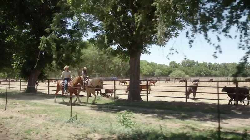 It's in my blood. Third generation rancher