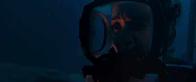 It's... it's attracting more sharks