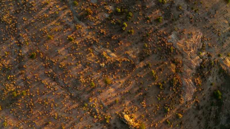 It's July, Tsavo's driest month