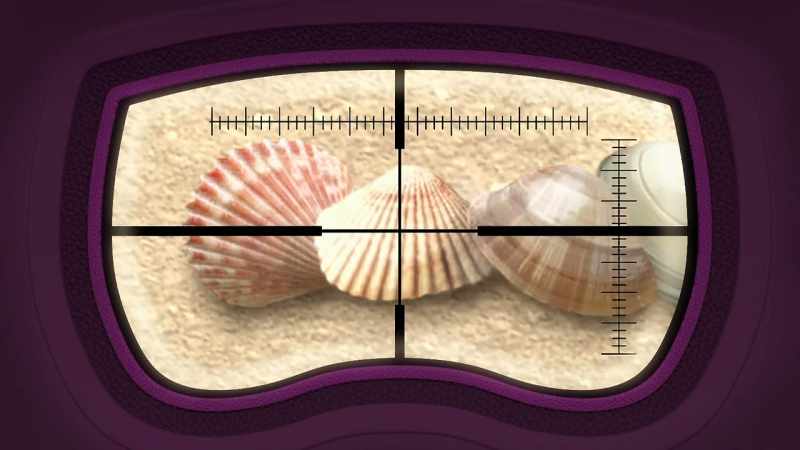 It's just a bunch of shells