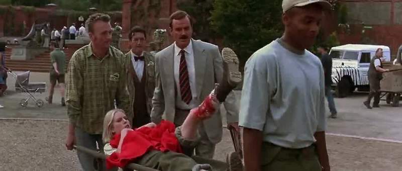 It's just a Flesh Wound