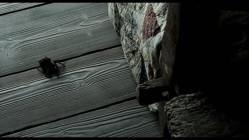 It's just a spider